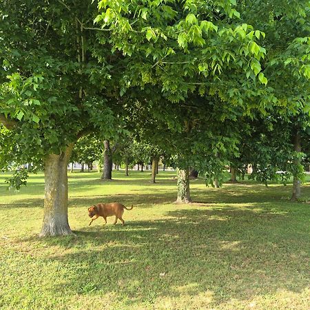 Villa Sabaudia Dış mekan fotoğraf