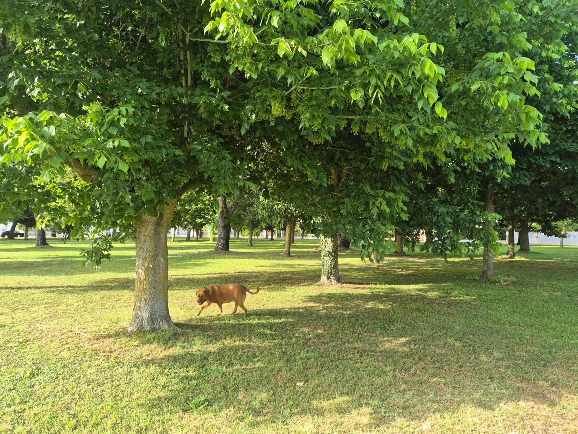 Villa Sabaudia Dış mekan fotoğraf